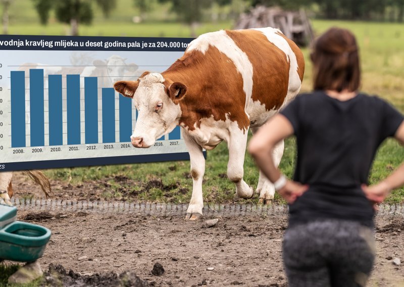 U Hrvatskoj proizvodnja kravljeg mlijeka nikad manja. Uskoro bi nas mogao prešišati i majušni Luksemburg