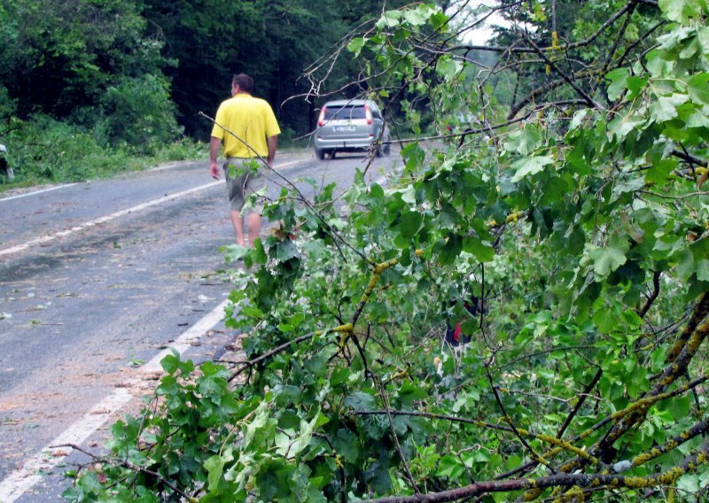 [FOTO/VIDEO] U Sisku olujno nevrijeme rušilo stabla, voda poplavila ceste