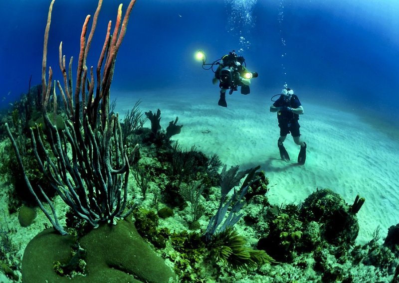 Hrleći u susret nepoznatom, uzbudljivom i tajanstvenom podvodnom svijetu, otkrivamo novi način življenja – ronjenje…