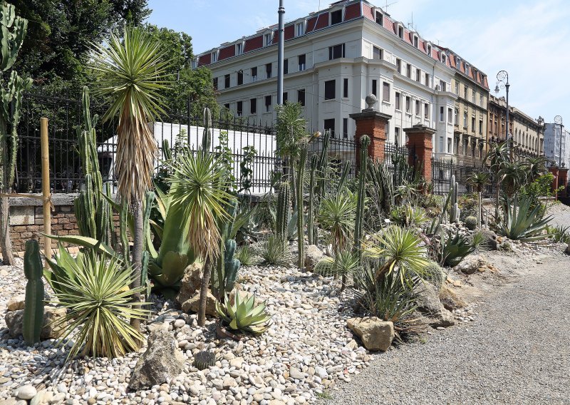 Osoblje Botaničkog vrta u šoku: Beskrupulozni lopovi odnijeli kaktus vrijedan desetak tisuća kuna!