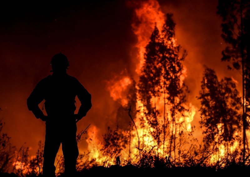 Vatrogasci izašli na kraj s velikim šumskim požarom u Portugalu