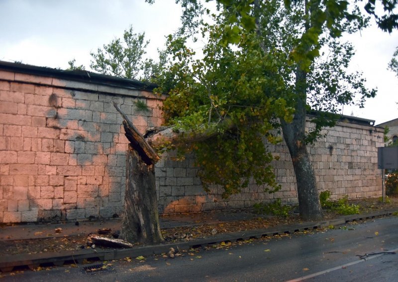 [FOTO] Nevrijeme pogodilo Istru, vjetar u Puli lomio stabla