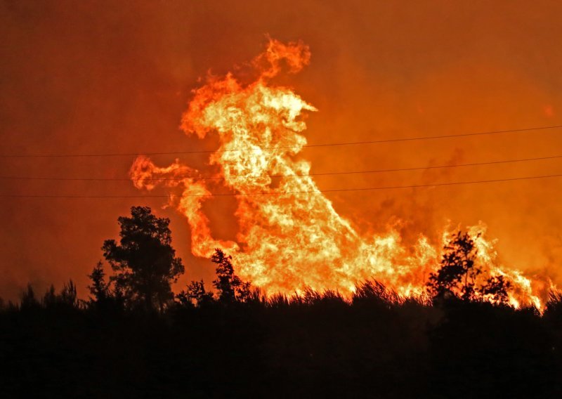 Grčka oglasila crveni alarm zbog opasnosti od šumskih požara