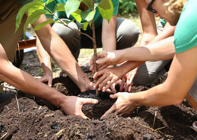 'Growing Together' - projekt za održivije, inkluzivnije i samosvjesnije društvo