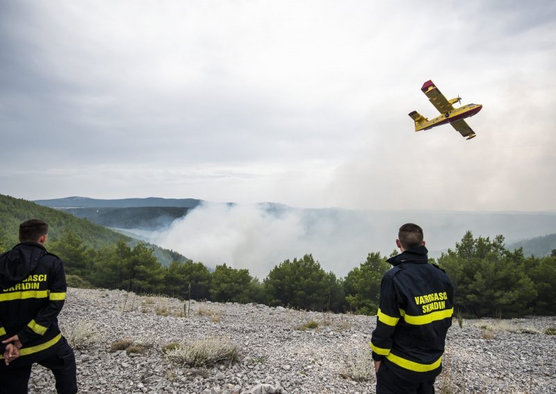 U požaru na području Galovca izgorjelo 15 hektara šume