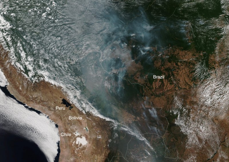 Gori Arktik, gori Amazonija: Posljedice golemih šumskih požara bit će globalne i katastrofalne