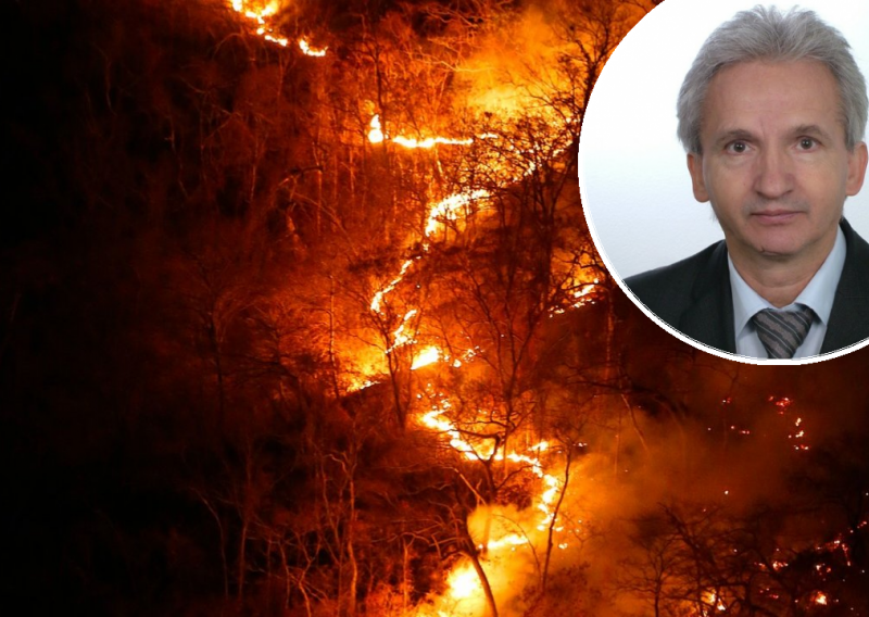 Širi se vatrena stihija: Pitali smo stručnjaka zašto gore šume od Brazila do Indonezije, i s kakvim sve posljedicama