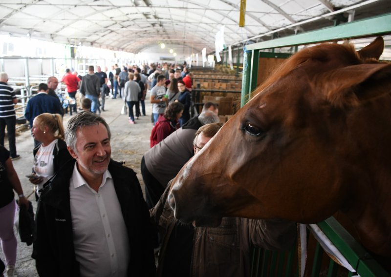 Škoro o Grabar Kitarović: Postoji njen stožer, ima šefa stožera, no nema onog tko je najavio kandidaturu