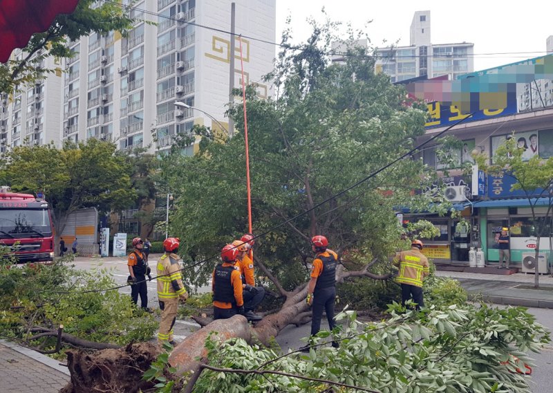 Koreji glavobolju zadaje tajfun Linling, poginule tri osobe