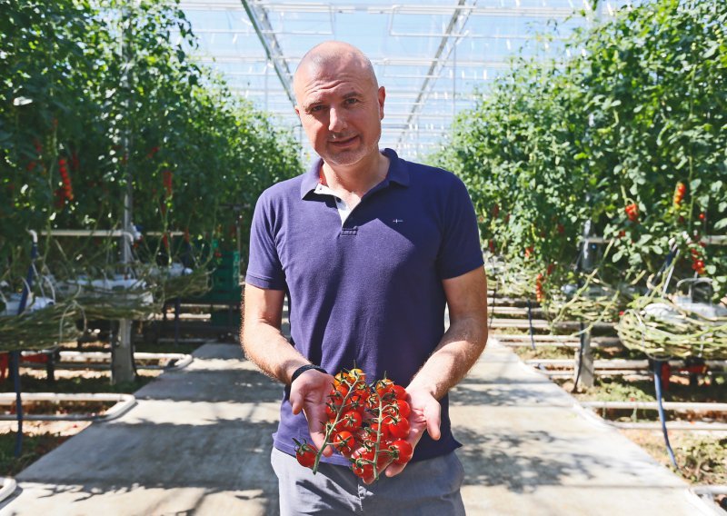 Obišli smo našeg najvećeg uzgajivača mini rajčica. 'Proizvodnja nam je zbog manjka radnika gotovo stala, a onda je stigao spas iz Indije i Nepala'