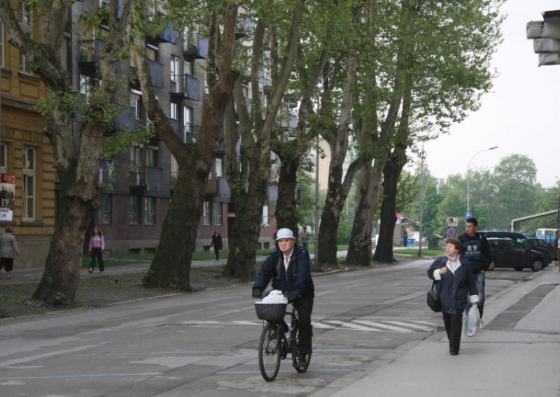 Protiv rušenja platana u Karlovcu