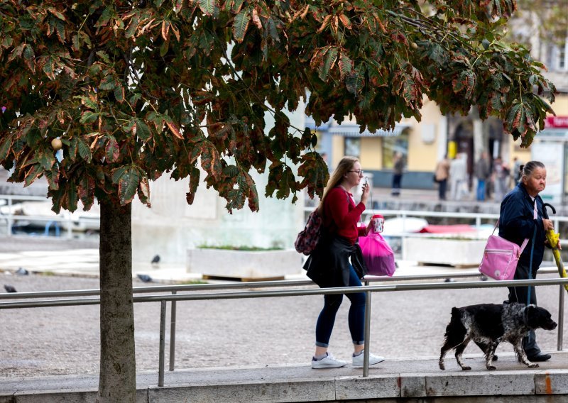 Stigla jesen: Pogledajte bajkovite prizore parkova na kontinentu, ali i piciginaše s Bačvica