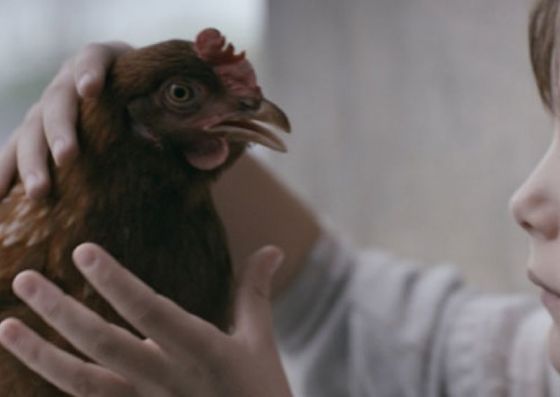 Filmu 'Kokoška' nagrada na festivalu Cinemed