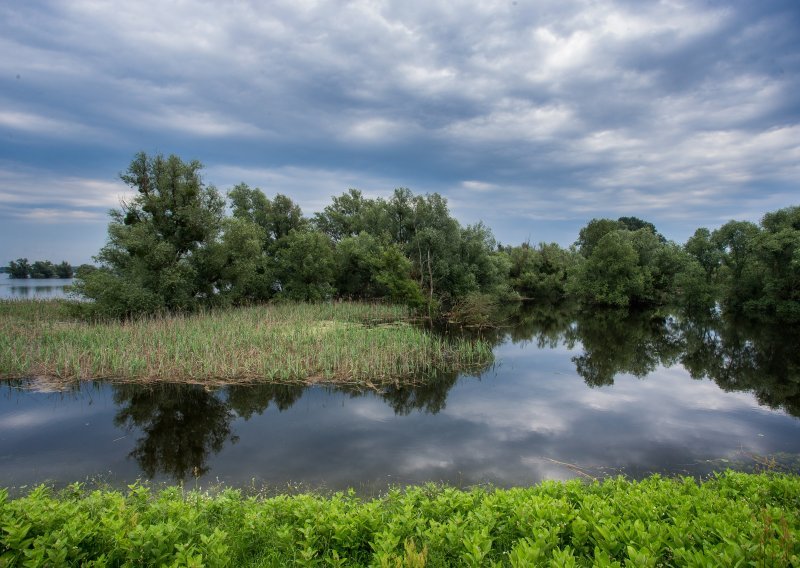 UNESCO-u poslana nominacija za Petodržavni rezervat biosfere Mura-Drava-Dunav