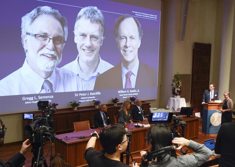 Borba protiv raka i anemije: Nobel za medicinu Kaelinu, Semenzi i Ratcliffeu