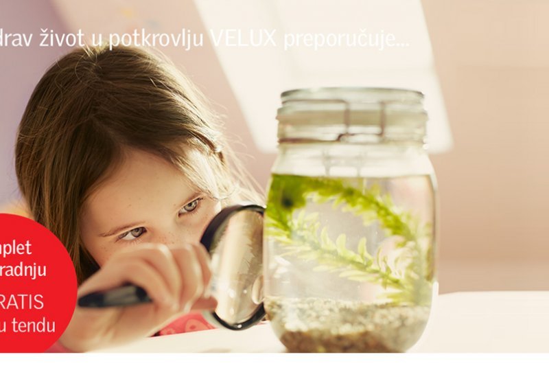 Što je sve potrebno za zdrav život u potkrovlju
