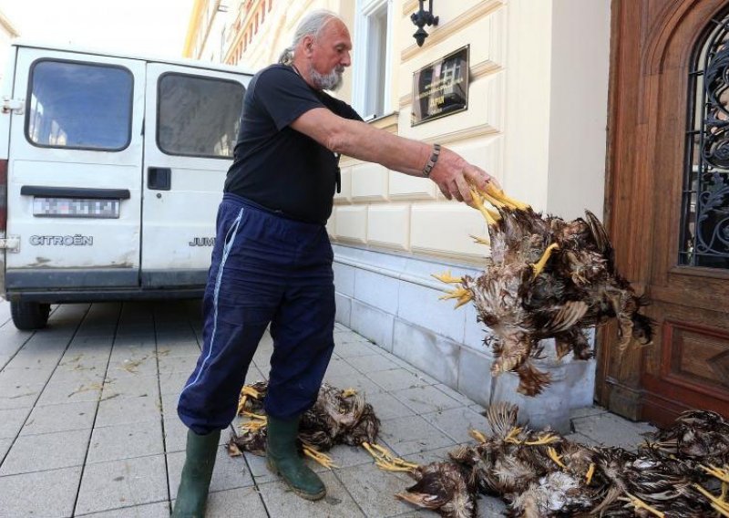 Izbacio desetke mrtvih kokoši na glavni gradski trg