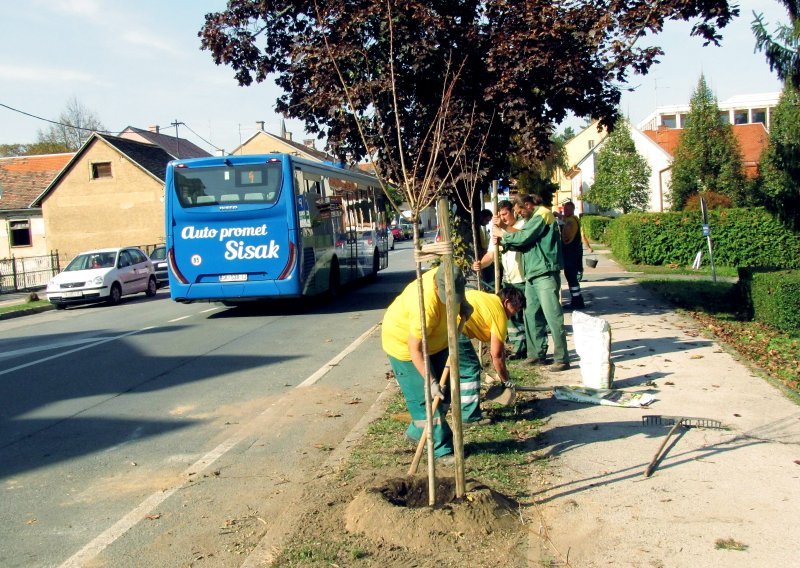 'Zeleni Sisak za zeleni planet': U jednom danu građani zasadili 145 stabala