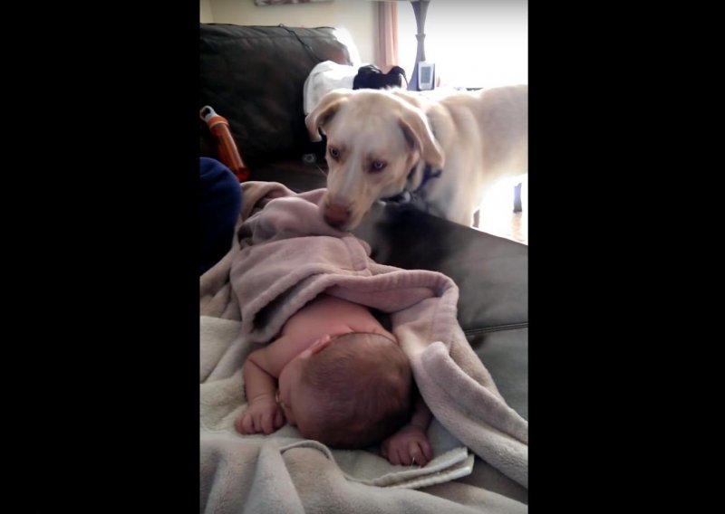 Brižni pas pokriva bebu