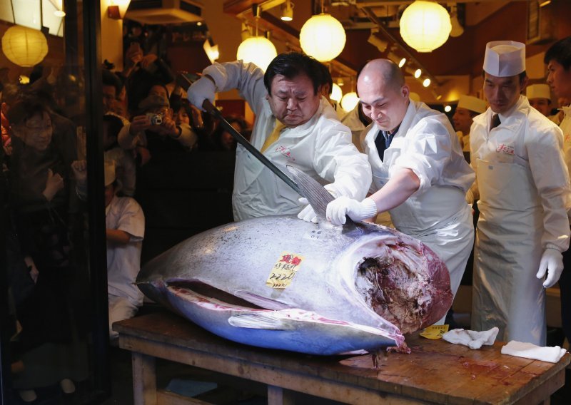 Tuna prodana za 1,38 milijuna eura