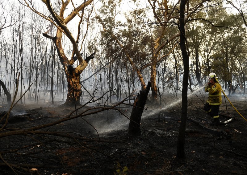 Bjesne šumski požari u Australiji, stanovnici u skloništima