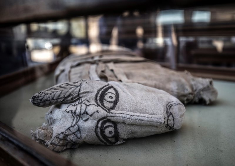 Predstavljena velika izložba životinjskih mumija s nalazišta Sakara blizu Kaira