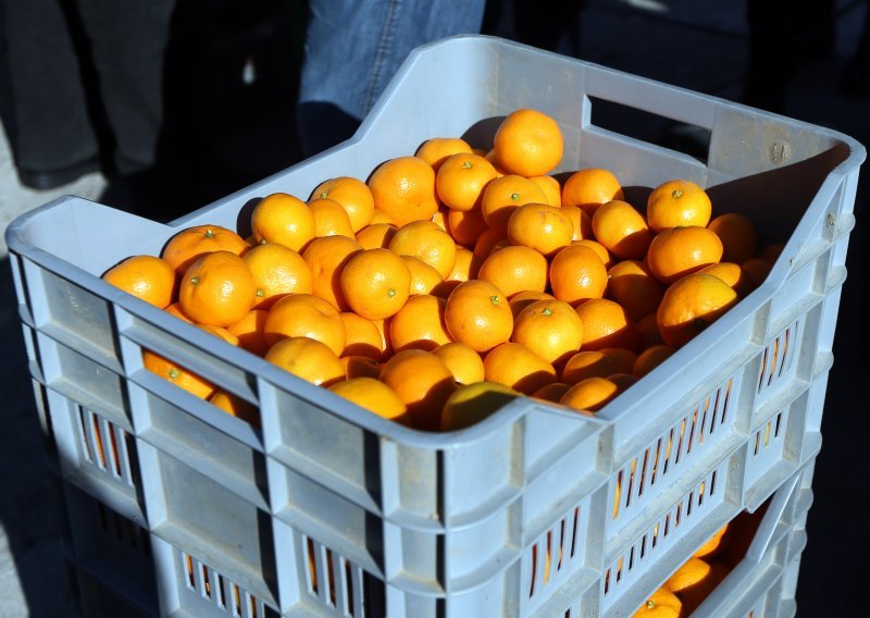 Deset tona mandarina iz Dubrovačko-neretvanske županije stiglo u Vukovar