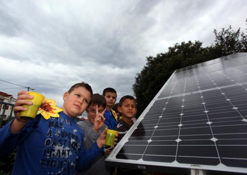 U Zadru 'posađen' prvi solarni suncokret