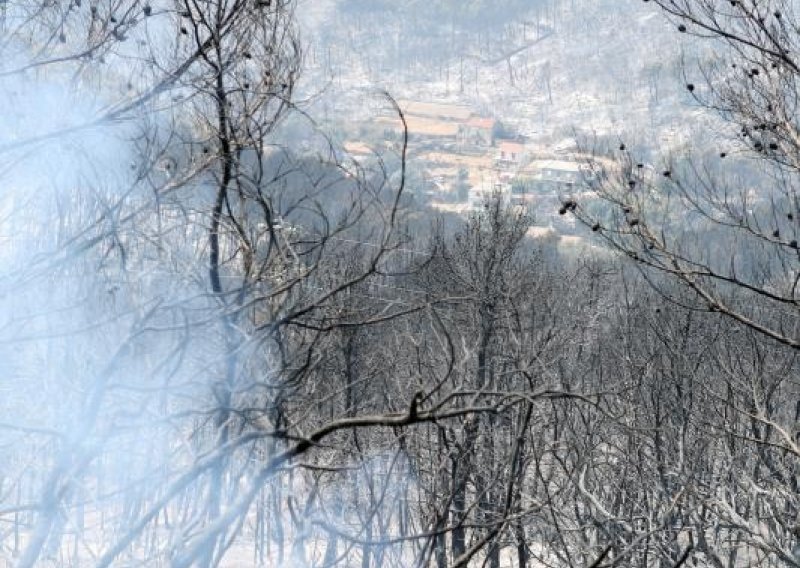 Borba s vatrom trajat će danima