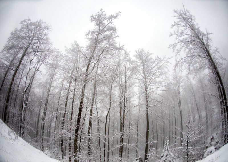 [FOTO] Snježni pokrivač prekrio Gorski kotar, pogledajte bijelu idilu u najhladnijem kutku Hrvatske