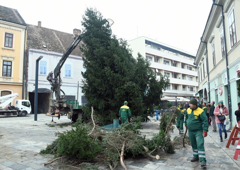 Hrvatska uvezla 215 puta više božićnih drvaca nego što je izvezla