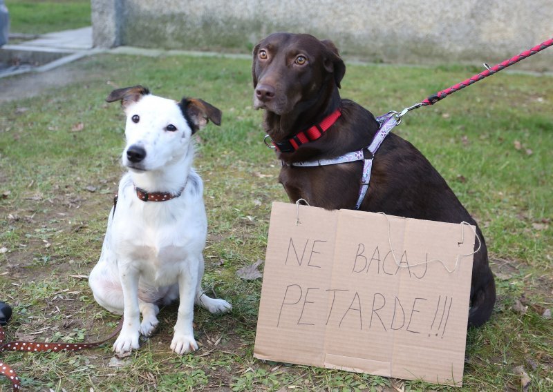 Prijatelji životinja traže potpunu zabranu pirotehnike