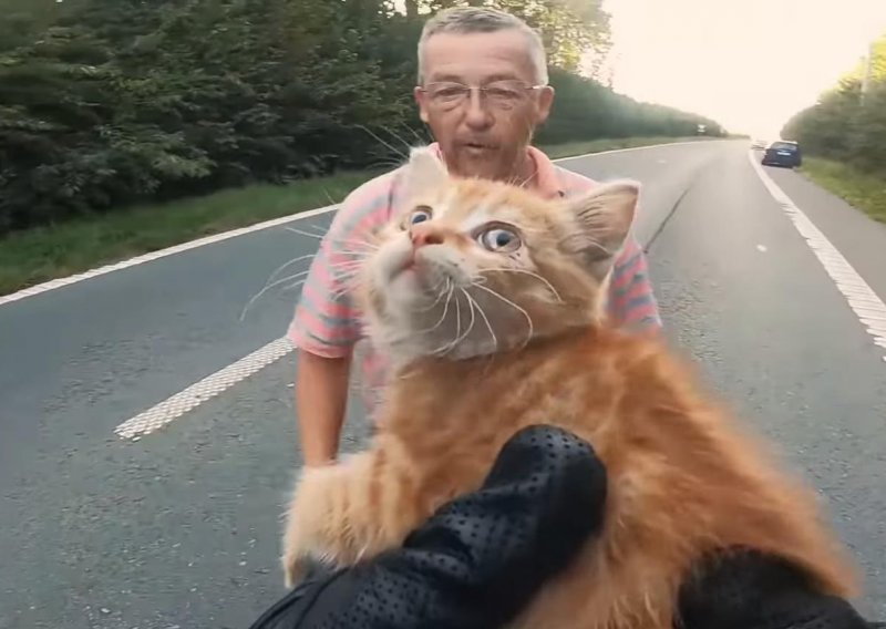 Dobri motorist spasio je mačića od gotovo sigurne smrti