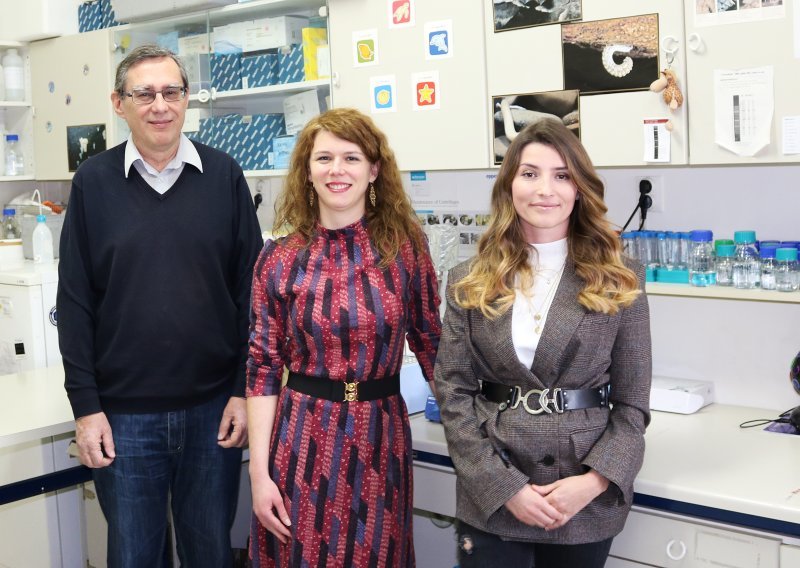 Molekularni biolozi s Ruđera istražili genom školjkaša: to je velika vijest za prehrambenu industriju, medicinu i ekologiju