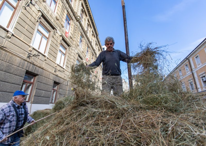 Kožarićev 'Stog sijena' opet postavljen u centar Rijeke