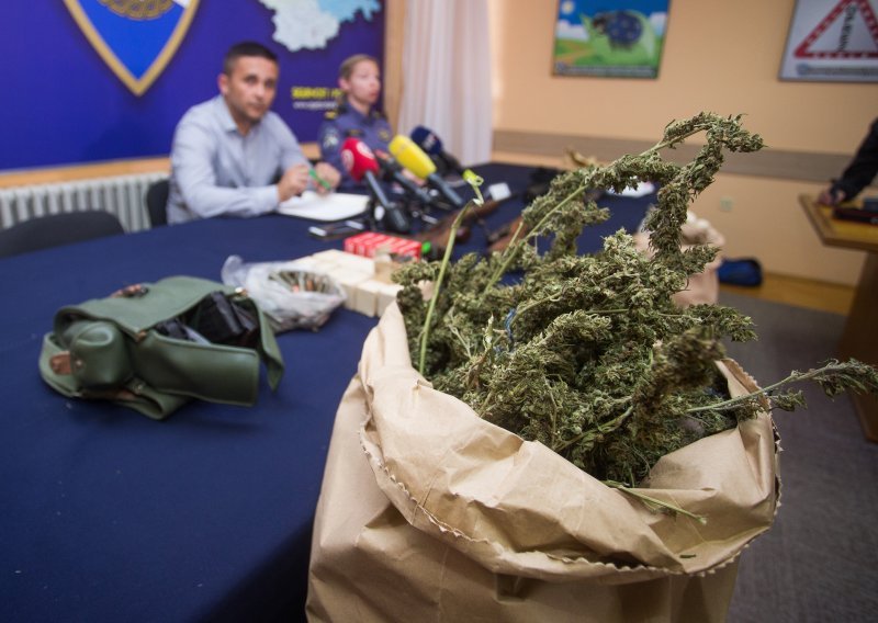 [VIDEO] U srcu Zagorja pronađeno 11 kilograma marihuane, 333 stabljike i šest šatora, dvojica uhićenih