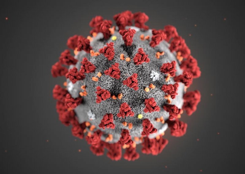 Francuski insitut planira razviti cjepivo protiv koronavirusa do 2021.