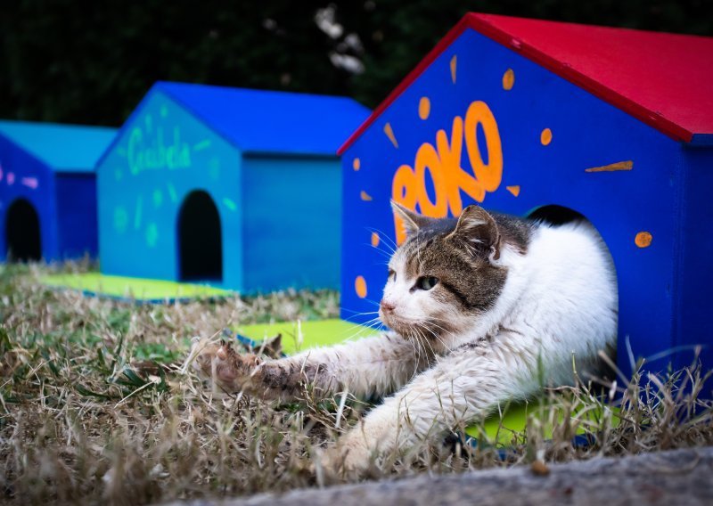 Misle na svoje krznene prijatelje: Djelatnici splitskog HNK ispred kazališta postavili šarene kućice za mačke