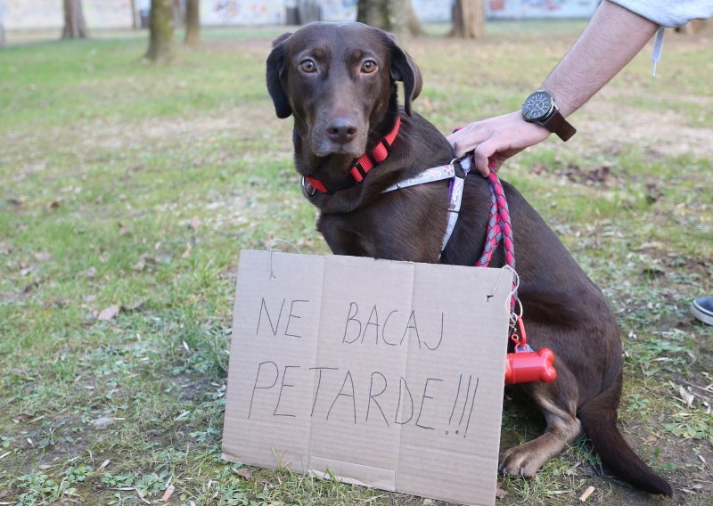 Prijatelji životinja predali potpise za zabranu petardi, MUP najavio izmjenu zakona