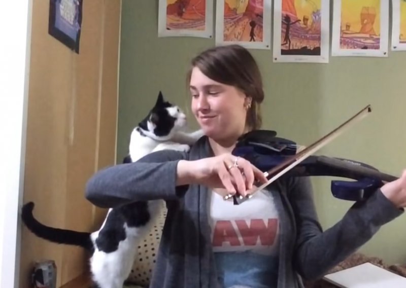 Slatka mačka više nije mogla otrpjeti vlasničino vježbanje violine