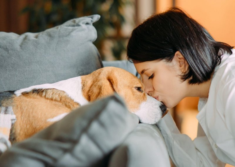 Psi ne trebaju 'vođu čopora' već naše društvo, a ono što ih čini posebnima je ljubav