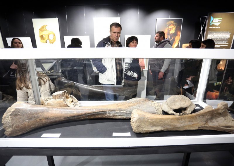 Muzej krapinskih neandertalaca proslavio 10. obljetnicu; uskoro očekuju i milijuntog posjetitelja