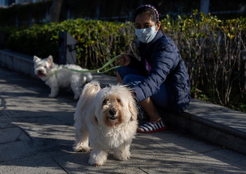 Pas zaražen koronavirusom možda prvi slučaj prijenosa s ljudi na životinje