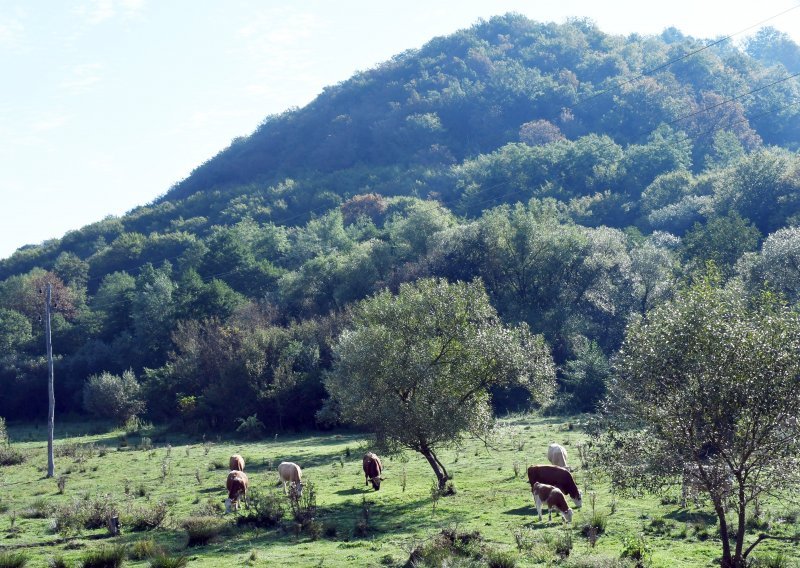 BiH nastavlja s osporavanjem odlagališta nuklearnog otpada na Trgovskoj gori