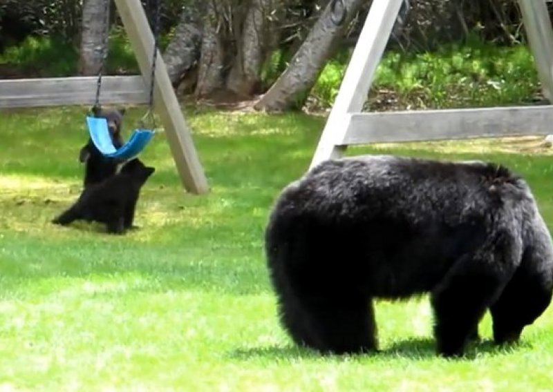 Medvjedići se igraju u dvorištu