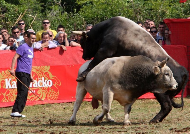 Život damo, bikijadu ne damo!