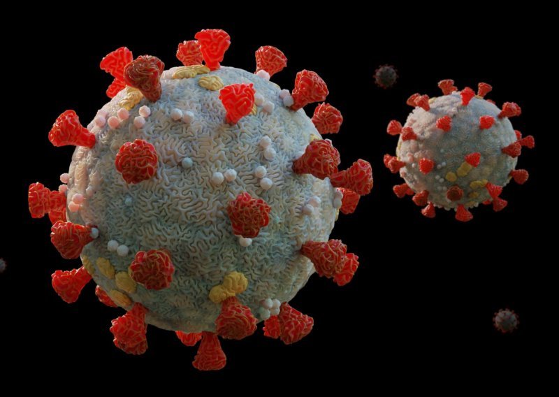 Sve što morate znati o načinu prijenosa koronavirusa