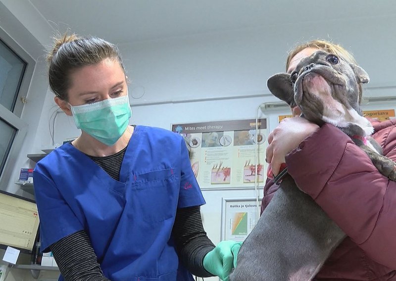 Veterinari u vrijeme koronavirusa: Dođite s ljubimcima samo ako je hitno