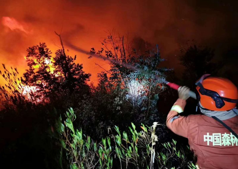 Devetnaest mrtvih u šumskom požaru u Kini