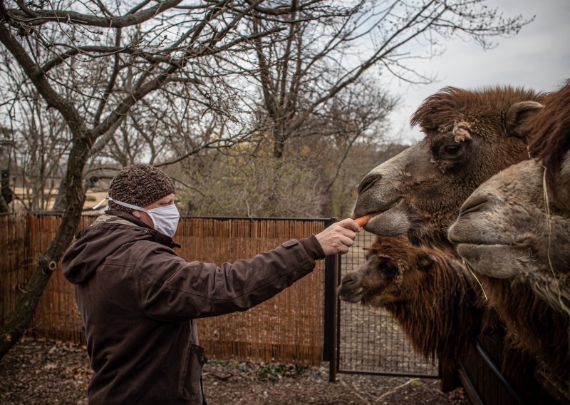 Zagrebački ZOO otvara se 1. svibnja